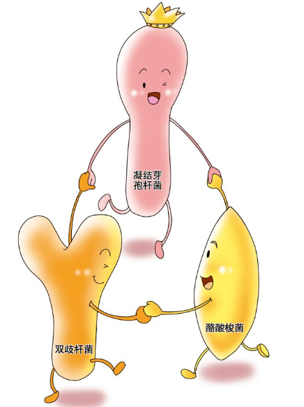 如何給寶寶選擇益生菌？