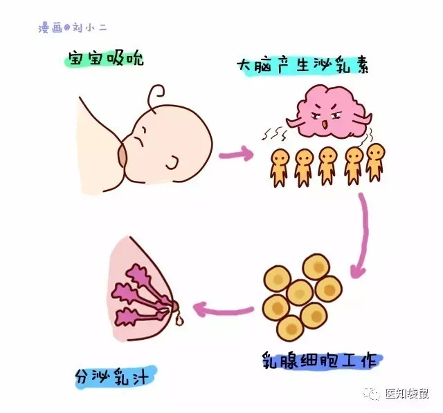 寶寶一哭就喂奶？
