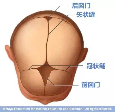 寶寶的囟門很重要，出現(xiàn)這3種異常要當(dāng)心！