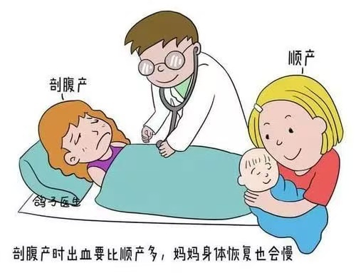 月子飲食全指南：科學(xué)搭配，助力產(chǎn)后恢復(fù)